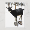 Recherche de 2014 cartes postales Animal