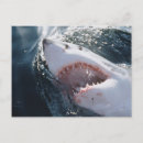 Recherche de image dange cartes postales Gros plan