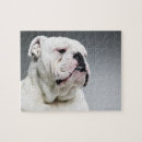 Recherche de chien blanc puzzles Animal