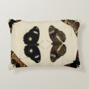 Recherche de insectes coussins Papillons