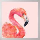 Recherche de flamingo posters Animal
