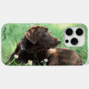Recherche de labrador retriever iphone coques Extracteur