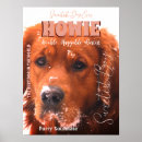 Recherche de pets posters Animal