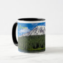 Recherche de mt tasses Washington