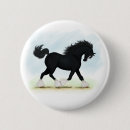 Recherche de cheval noir badges Équestre