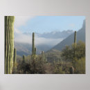 Recherche de tucson posters Saguaro