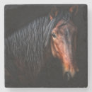 Recherche de verre cheval de dessous de dessous de verres Photographie