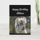Recherche de mauvais anniversaire cartes Amusant
