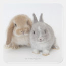Recherche de nain autocollants Animal