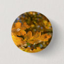 Recherche de saisonnier badges Feuille