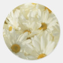 Recherche de pouce autocollants Blanc