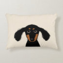 Recherche de chiots coussins Teckel