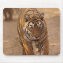 Recherche de tigre royal tapis souris Parc national