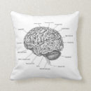 Recherche de anatomie coussins Geek