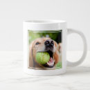 Recherche de balle tennis tasses Animal