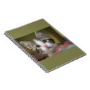 Recherche de yeux verts carnets Tabby