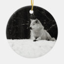 Recherche de animaux sauvages ornements Neige