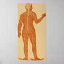 Recherche de système nerveux posters Médecine
