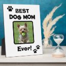 Zoek naar honds fotoplaat For pets