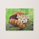 Recherche de panda puzzles Vert