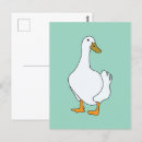 Recherche de canard blanc cartes postales Nature