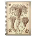 Recherche de paléontologie carnets Science