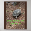 Zoek naar schildpad kunst Inspirerend
