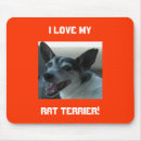 Zoek naar ratten muismatten Foto