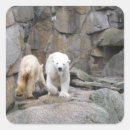 Recherche de polaire autocollants Animaux