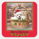 Recherche de couleurs de noël autocollants Virginia5050