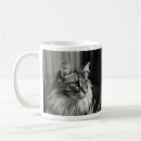 Recherche de norvégienne tasses Chat