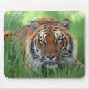 Recherche de grands yeux tapis souris Chat