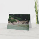 Recherche de attractions vœux cartes Photographie