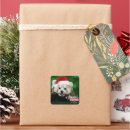 Recherche de panda noël autocollants Animaux