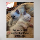 Zoek naar liefje posters Grappig