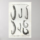 Recherche de hameçons posters Anglais