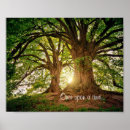 Recherche de forrest posters Nature