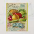 Zoek naar zaden briefkaarten Gardening