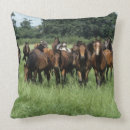 Recherche de pur sang coussins Équestre