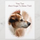 Zoek naar dieren flyers Schattig