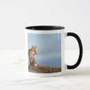 Recherche de refuge tasses Canin