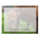 Recherche de vache blocsnotes Veau