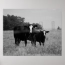 Zoek naar hars posters Boerderij