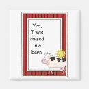 Recherche de vache magnets Occidental