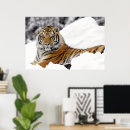 Recherche de chat du bengale posters Animaux