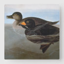 Recherche de peinture de canard horloges Illustration d'oiseau