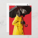 Zoek naar regenjas briefkaarten Hond
