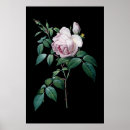 Recherche de black background posters Botanical