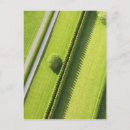 Recherche de diagonal cartes postales Vert