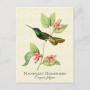 Zoek naar botanische illustratie briefkaarten Groen